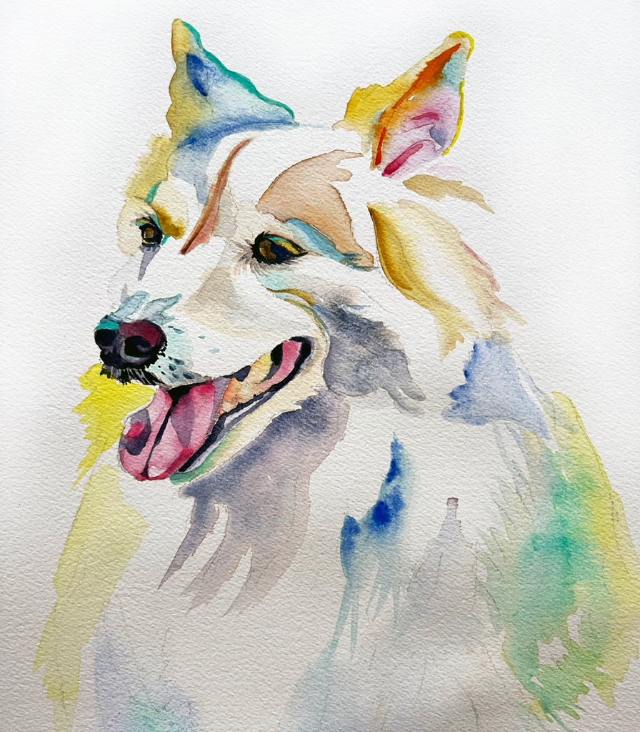 Adam Pet Portrait in Watercolour